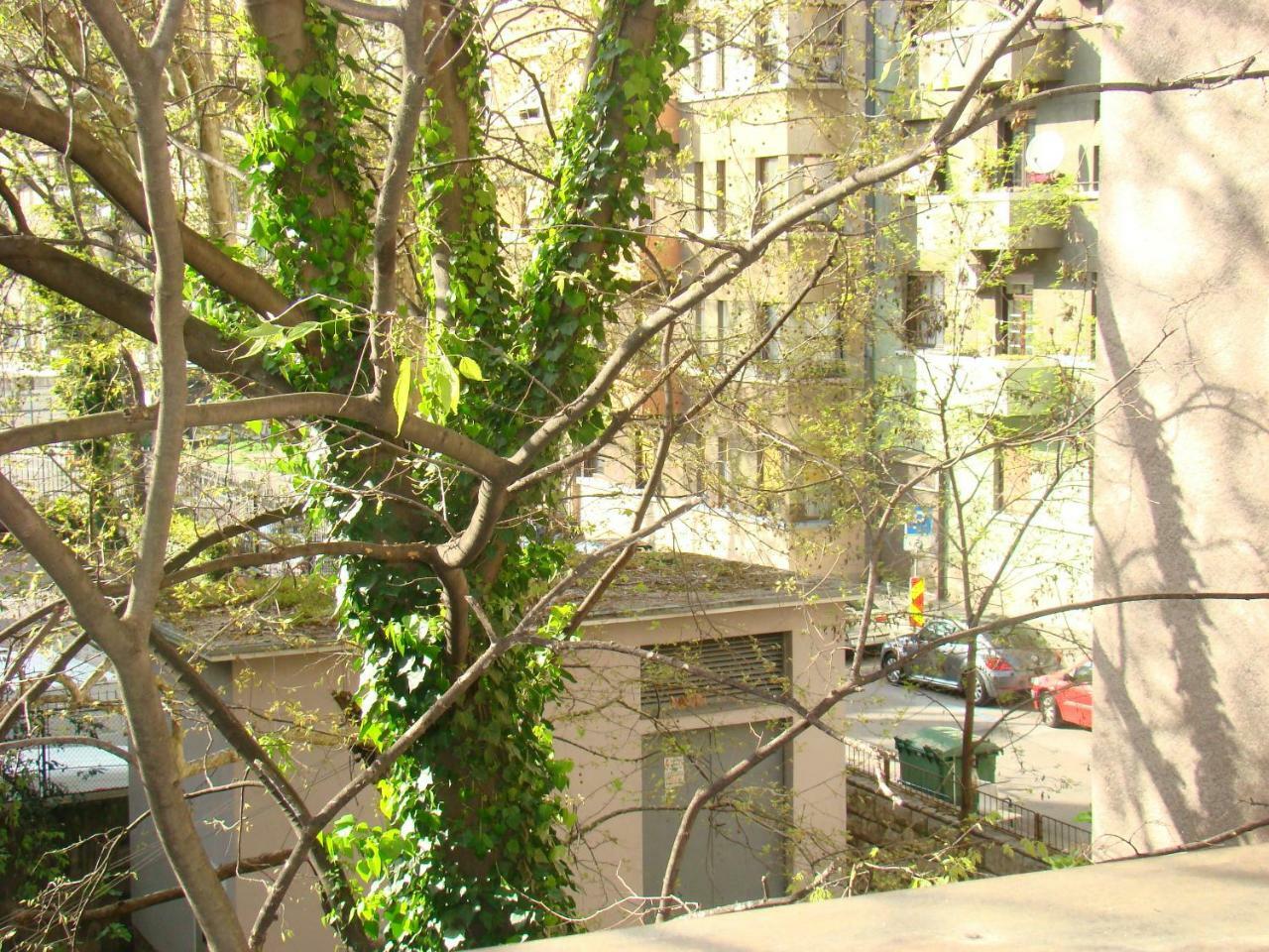 Апартаменти My Sun Рієка Екстер'єр фото
